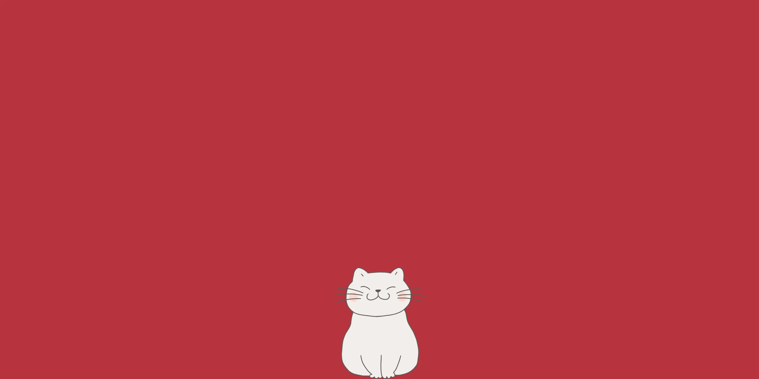 gatto micio adozione adottare randagio volontariato gattile animali associazione cura felino pets proof